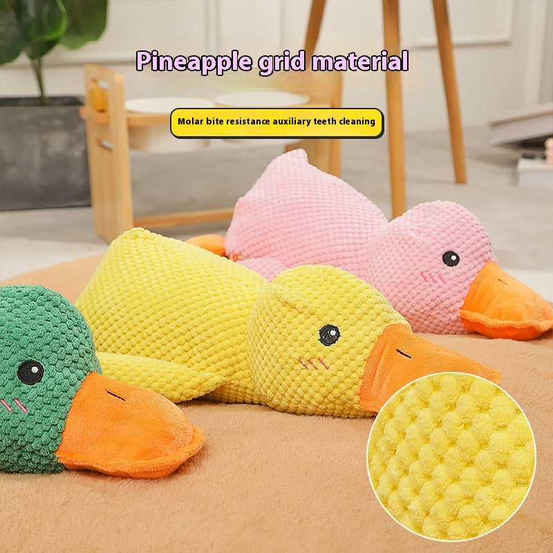Canard apaisant
