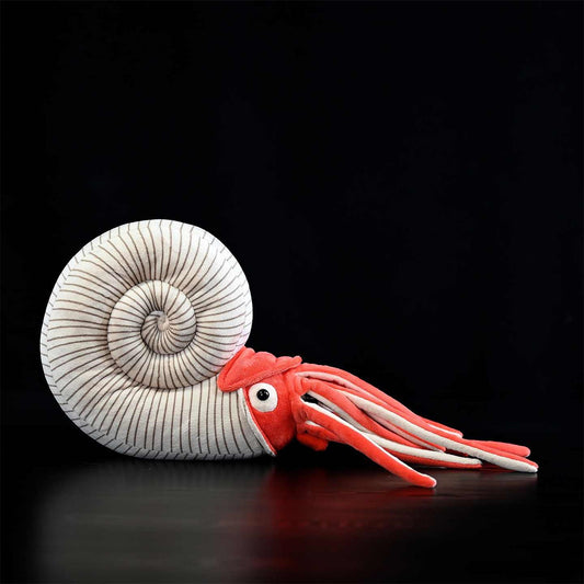 Série Paléontologie Jouets en Peluche Ammonite